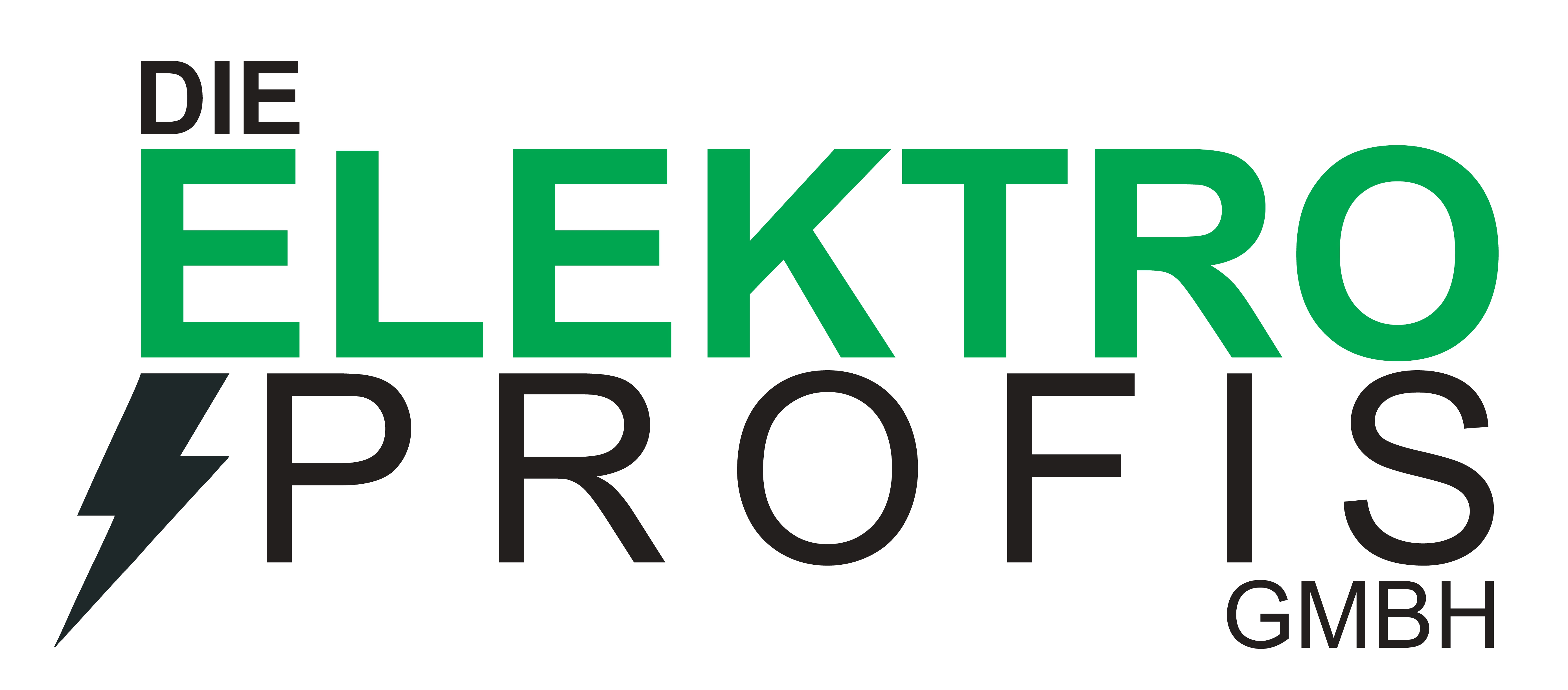 Die Elektro Profis Sponsoring 2400x1200mm page 0001